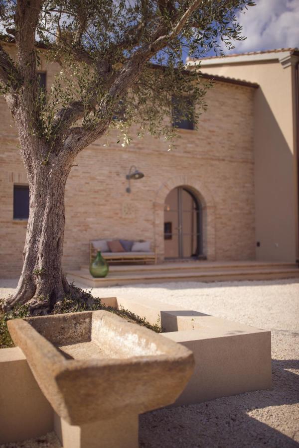 Bed and Breakfast Casale Tre Gelsi Cingoli Exteriér fotografie