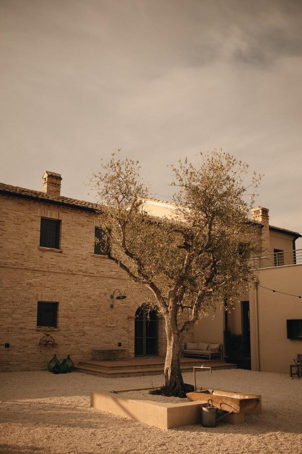Bed and Breakfast Casale Tre Gelsi Cingoli Exteriér fotografie